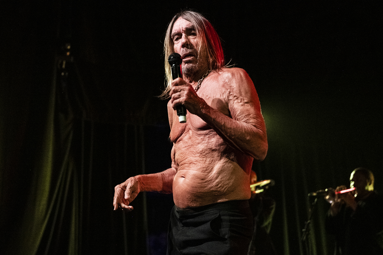 Iggy Pop Jazz Middelheim @ Park Den Brandt, picture 18, photographed by Sandra Van Watermeulen - FrontView Magazine