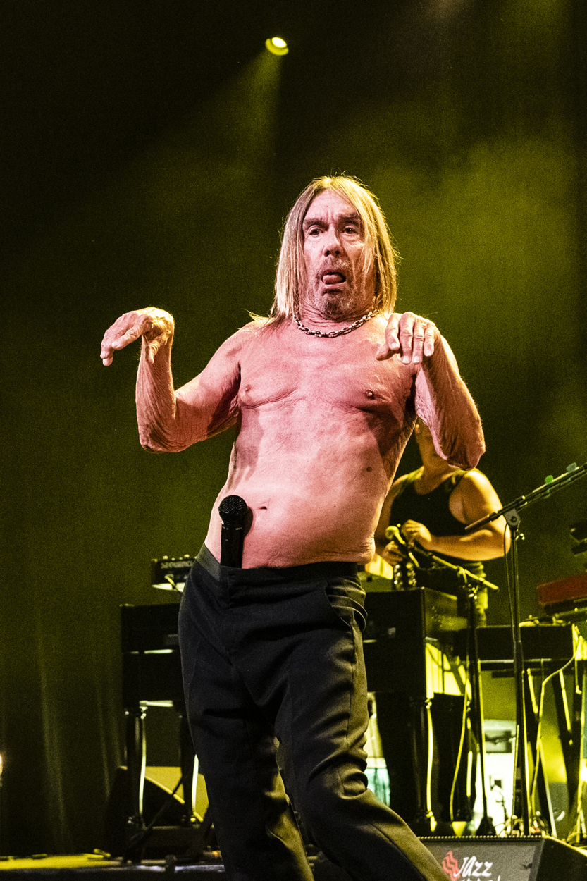 Iggy Pop Jazz Middelheim @ Park Den Brandt, picture 19, photographed by Sandra Van Watermeulen - FrontView Magazine