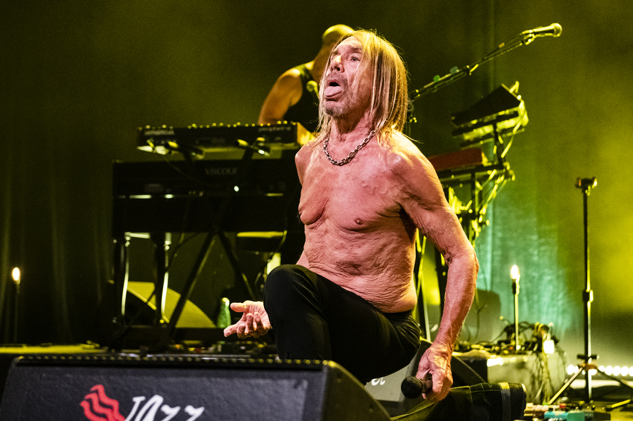 Iggy Pop Jazz Middelheim @ Park Den Brandt, picture 20, photographed by Sandra Van Watermeulen - FrontView Magazine