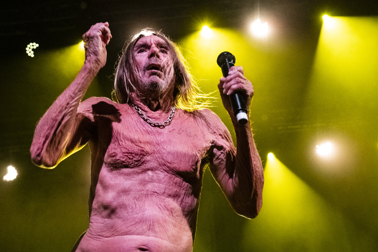 Iggy Pop Jazz Middelheim @ Park Den Brandt, picture 21, photographed by Sandra Van Watermeulen - FrontView Magazine