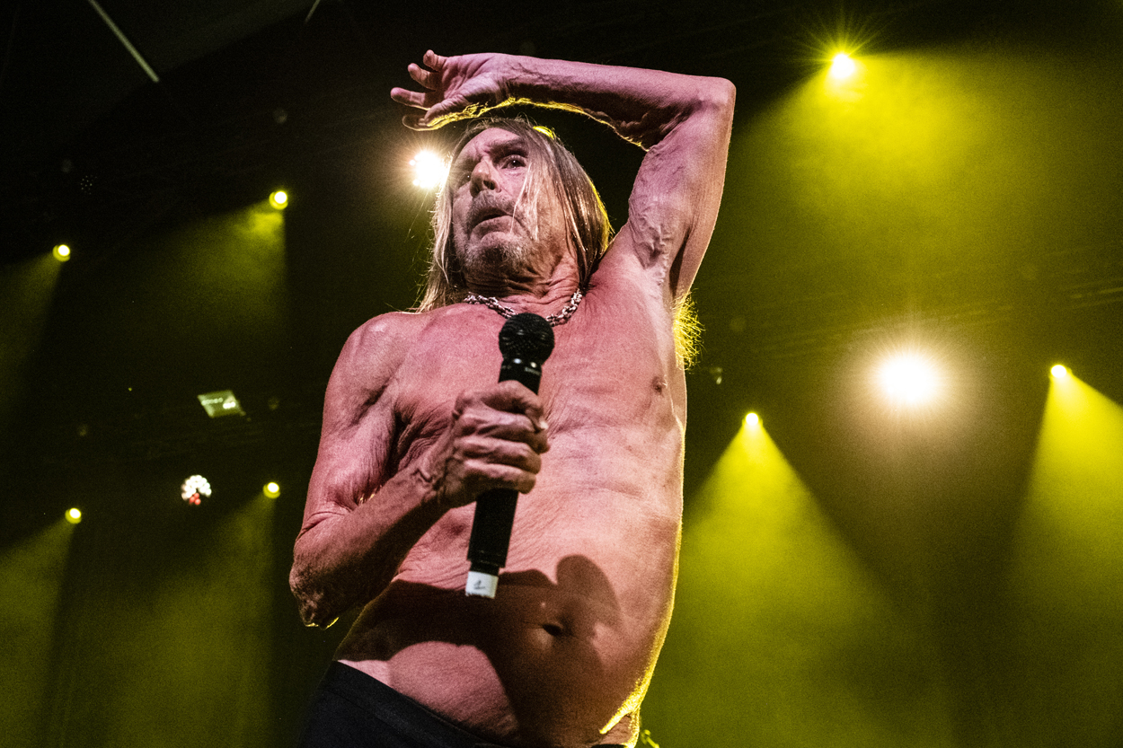Iggy Pop Jazz Middelheim @ Park Den Brandt, picture 22, photographed by Sandra Van Watermeulen - FrontView Magazine
