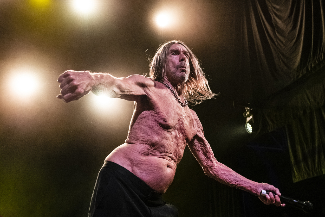 Iggy Pop Jazz Middelheim @ Park Den Brandt, picture 23, photographed by Sandra Van Watermeulen - FrontView Magazine