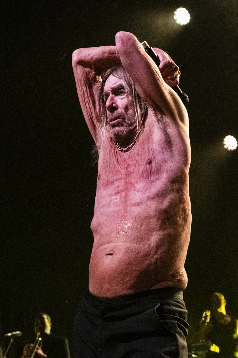 Iggy Pop Jazz Middelheim @ Park Den Brandt, picture 24, photographed by Sandra Van Watermeulen - FrontView Magazine