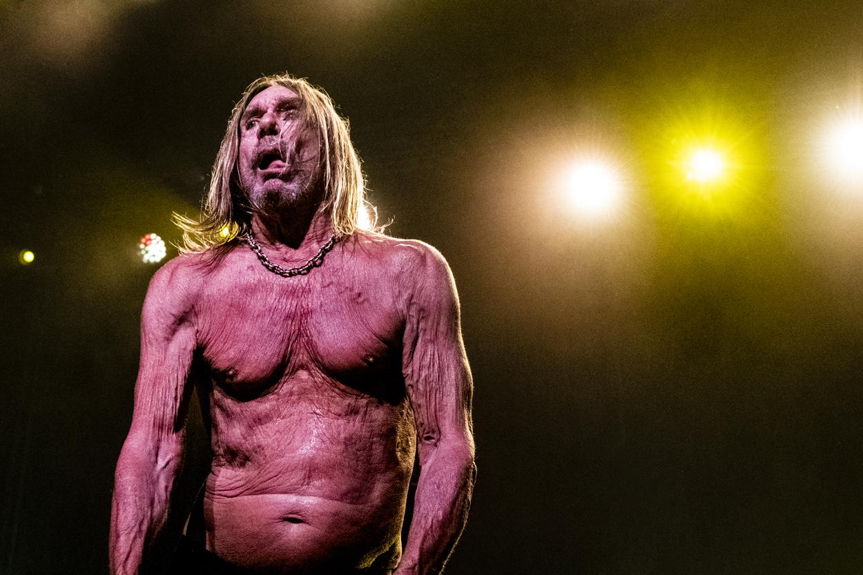Iggy Pop Jazz Middelheim @ Park Den Brandt, picture 26, photographed by Sandra Van Watermeulen - FrontView Magazine