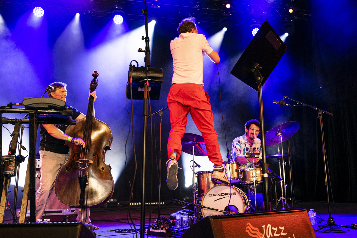Taxiwars Jazz Middelheim @ Park Den Brandt, picture 3, photographed by Sandra Van Watermeulen - FrontView Magazine