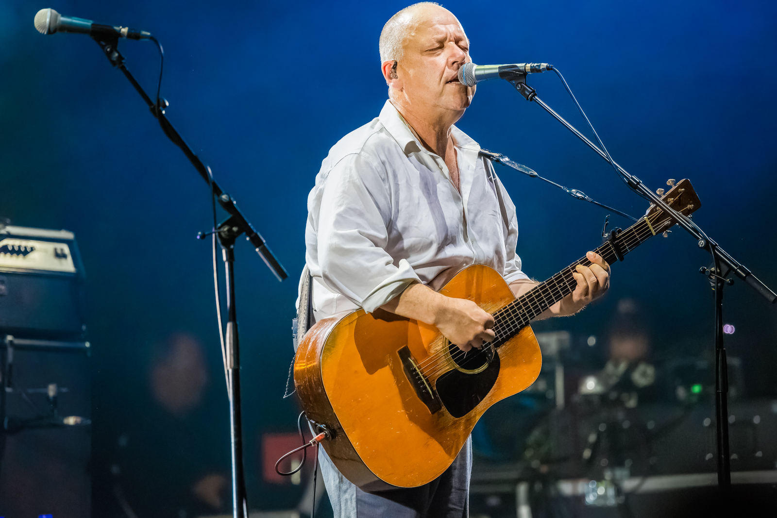 Pixies Live at Hear Hear festival, picture 3, photographed by Paul Jongeneelen - FrontView Magazine