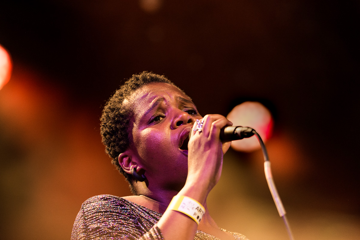Toots 100 – Brussels Jazz Orchestra @ Jazz Middelheim, picture 3, photographed by Ann Carpentier - FrontView Magazine