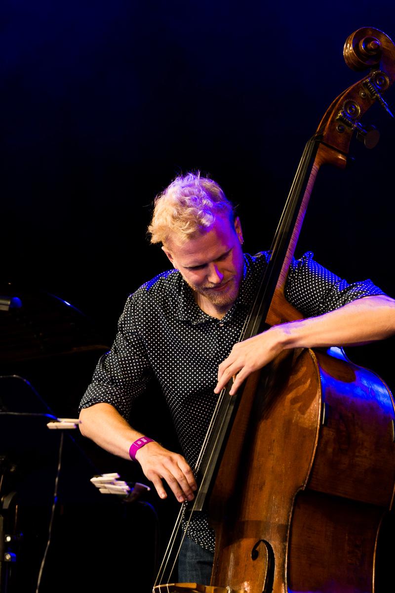 Flight of the Black Zebra ft. Jakob Bro @ Jazz Middelheim, picture 2, photographed by Ann Carpentier - FrontView Magazine