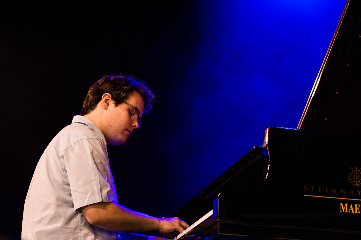Flight of the Black Zebra ft. Jakob Bro @ Jazz Middelheim, picture 7, photographed by Ann Carpentier - FrontView Magazine