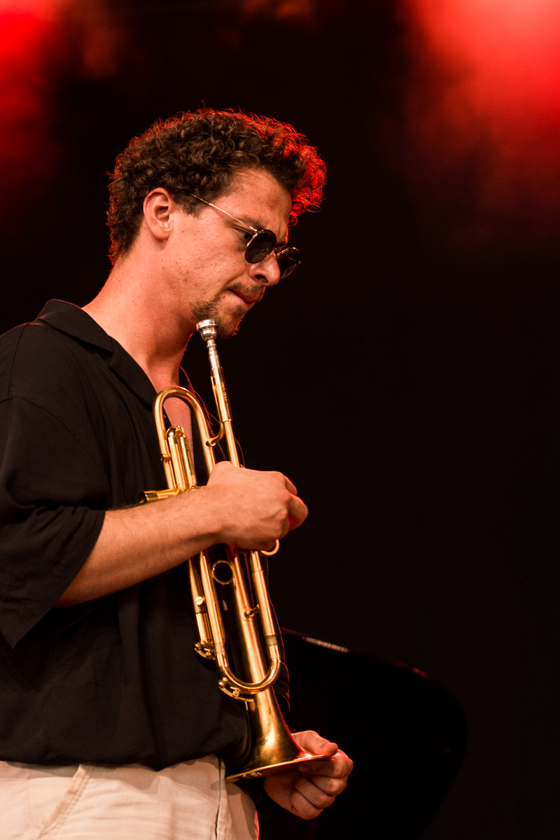 Flight of the Black Zebra ft. Jakob Bro @ Jazz Middelheim, picture 8, photographed by Ann Carpentier - FrontView Magazine