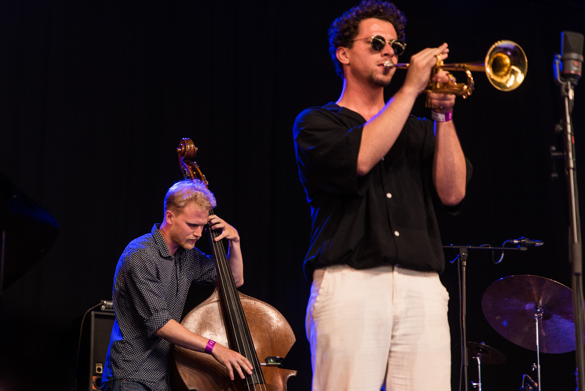 Flight of the Black Zebra ft. Jakob Bro @ Jazz Middelheim, picture 9, photographed by Ann Carpentier - FrontView Magazine