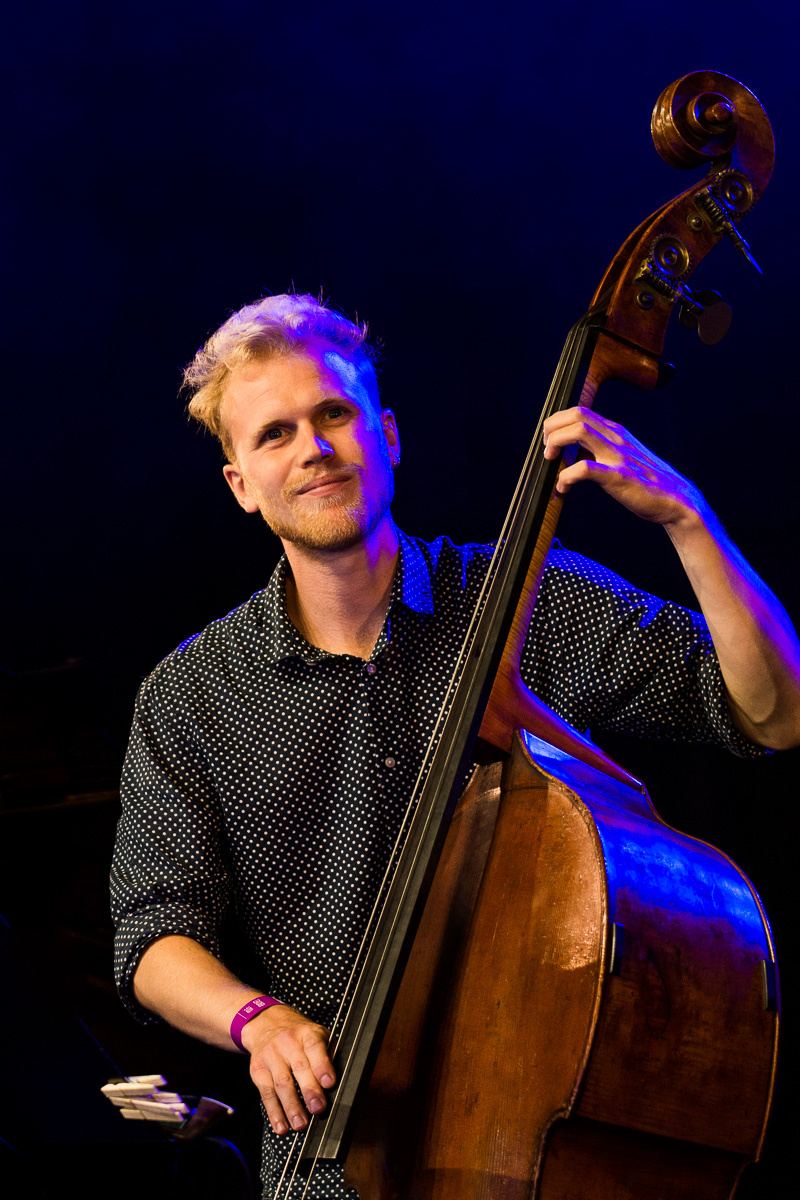 Flight of the Black Zebra ft. Jakob Bro @ Jazz Middelheim, picture 10, photographed by Ann Carpentier - FrontView Magazine
