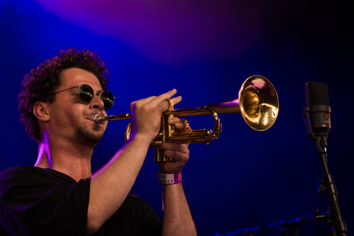 Flight of the Black Zebra ft. Jakob Bro @ Jazz Middelheim, picture 11, photographed by Ann Carpentier - FrontView Magazine