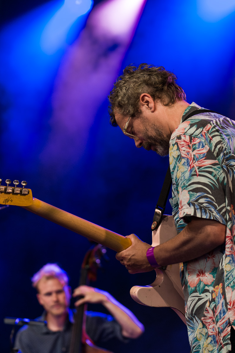 Flight of the Black Zebra ft. Jakob Bro @ Jazz Middelheim, picture 12, photographed by Ann Carpentier - FrontView Magazine