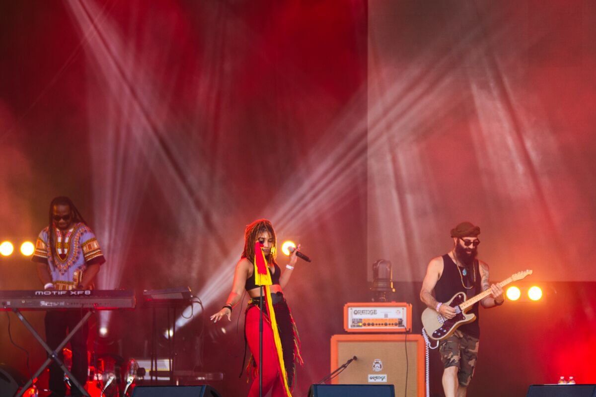 Arrested Development @ W-Fest zaterdag, picture 10, photographed by Luc Klinckaert - FrontView Magazine