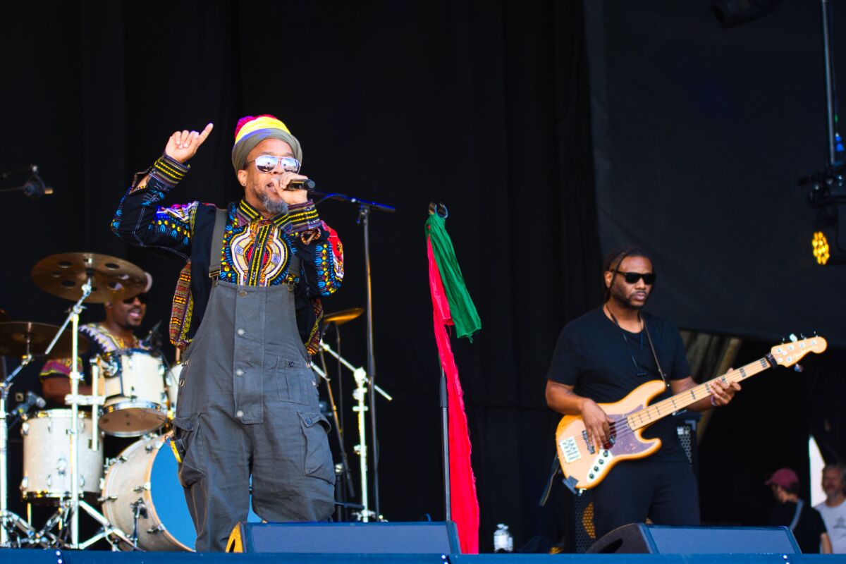 Arrested Development @ W-Fest zaterdag, picture 14, photographed by Luc Klinckaert - FrontView Magazine
