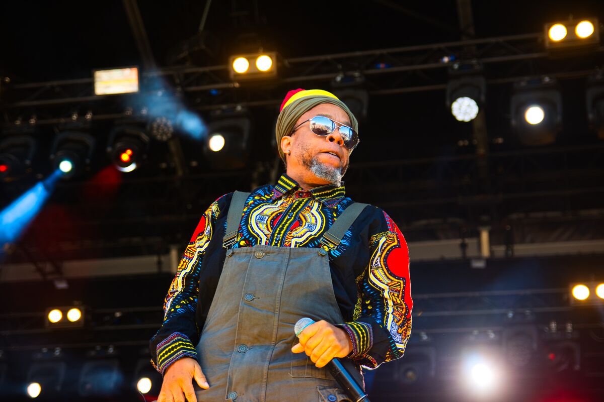 Arrested Development @ W-Fest zaterdag, picture 19, photographed by Luc Klinckaert - FrontView Magazine