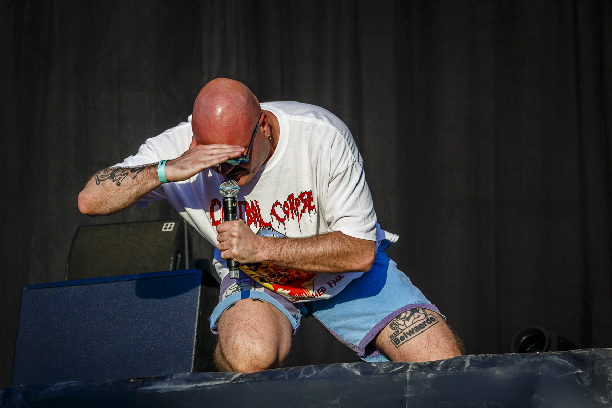 Willy Organ @ Maanrock, picture 4, photographed by Alex Wyckmans - FrontView Magazine