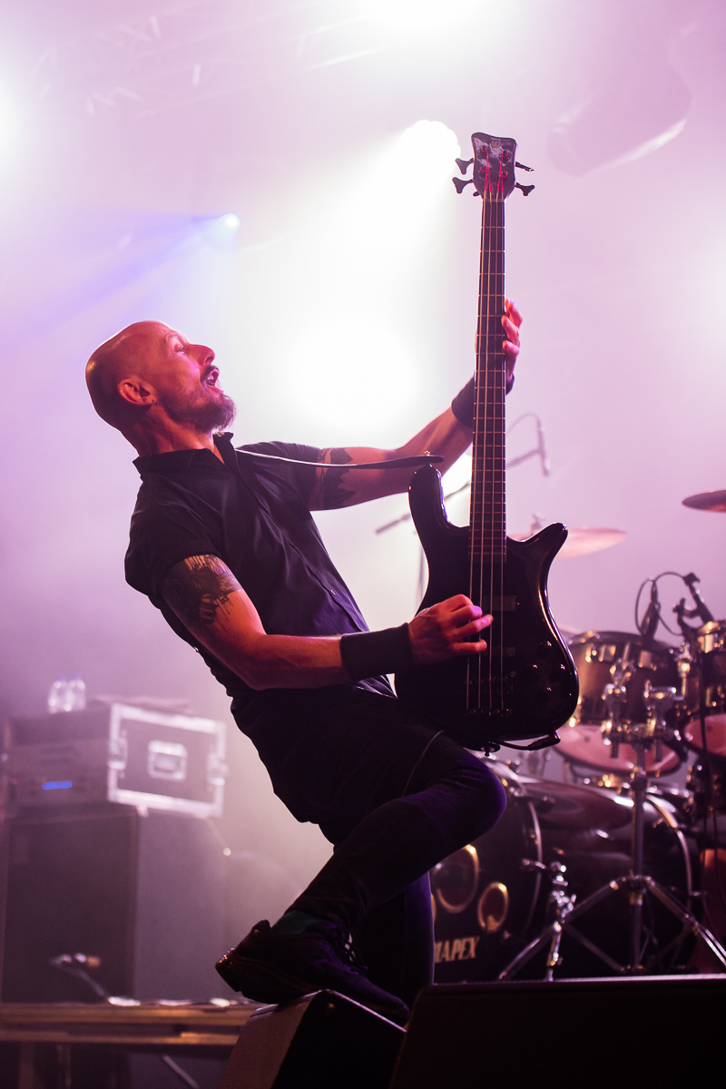 Therapy? @ Road Rock, picture 15, photographed by Jürgen Bruynooghe - FrontView Magazine