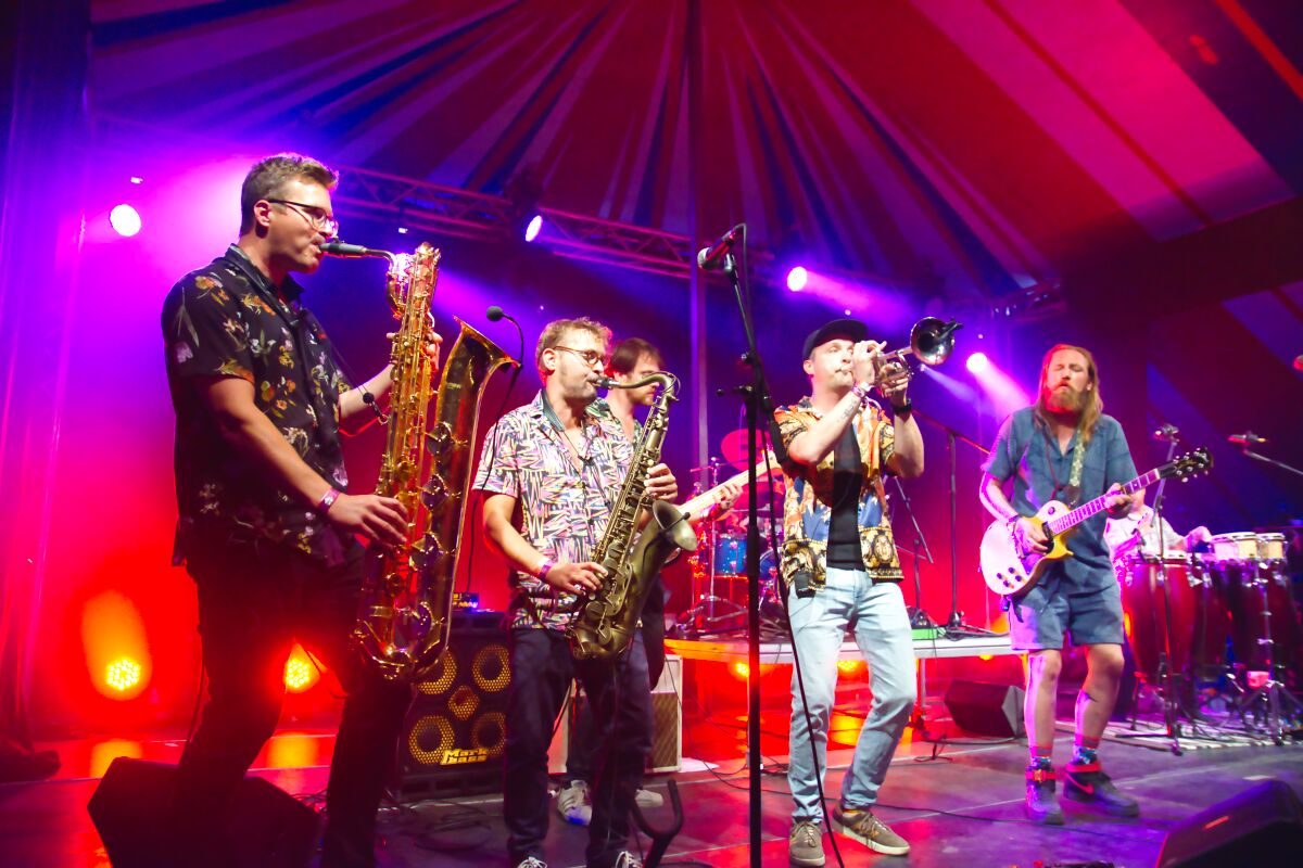 Zebras are Timeless @ Bombelbasfestival Zottegem, picture 5, photographed by Luc Klinckaert - FrontView Magazine