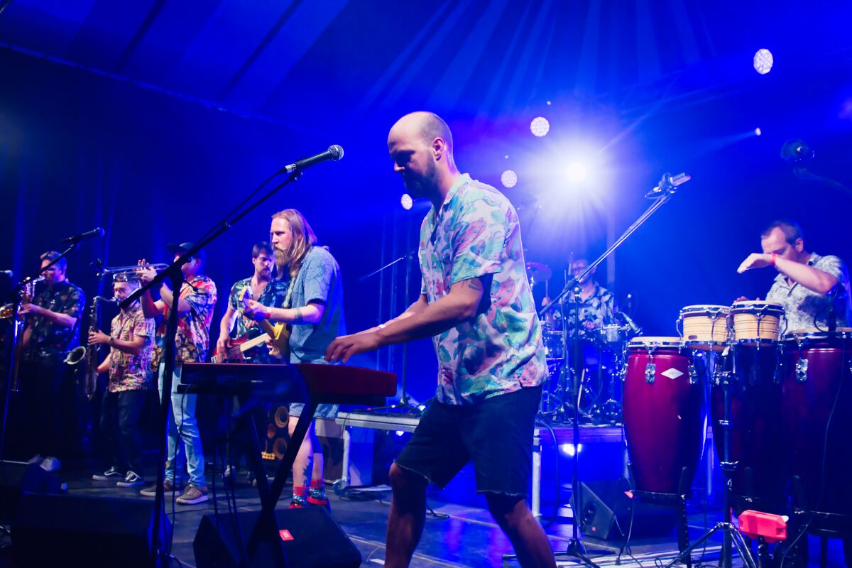 Zebras are Timeless @ Bombelbasfestival Zottegem, picture 6, photographed by Luc Klinckaert - FrontView Magazine