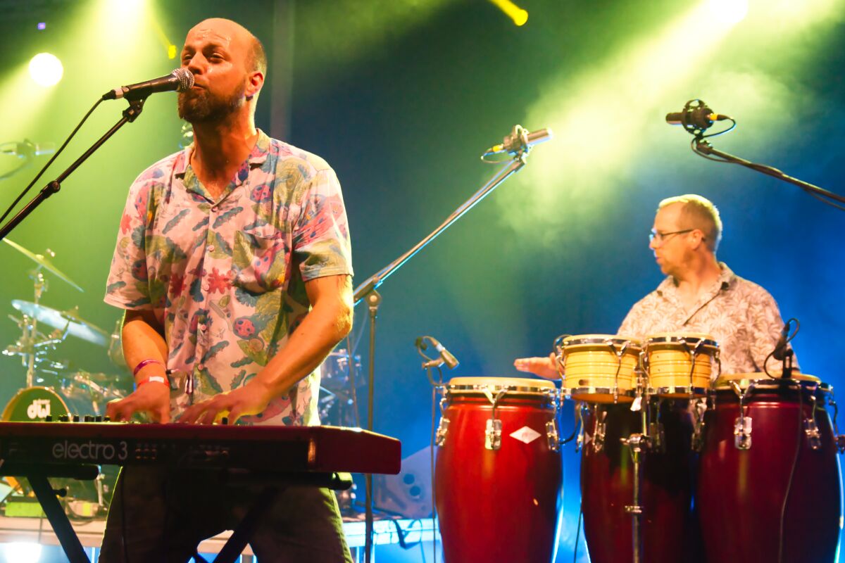 Zebras are Timeless @ Bombelbasfestival Zottegem, picture 12, photographed by Luc Klinckaert - FrontView Magazine