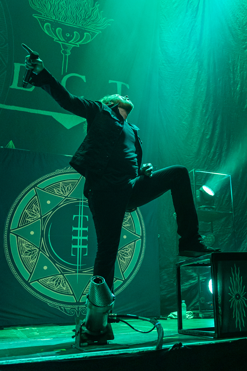 The Halo Effect @ Vorst Nationaal, picture 5, photographed by David Johnson - FrontView Magazine
