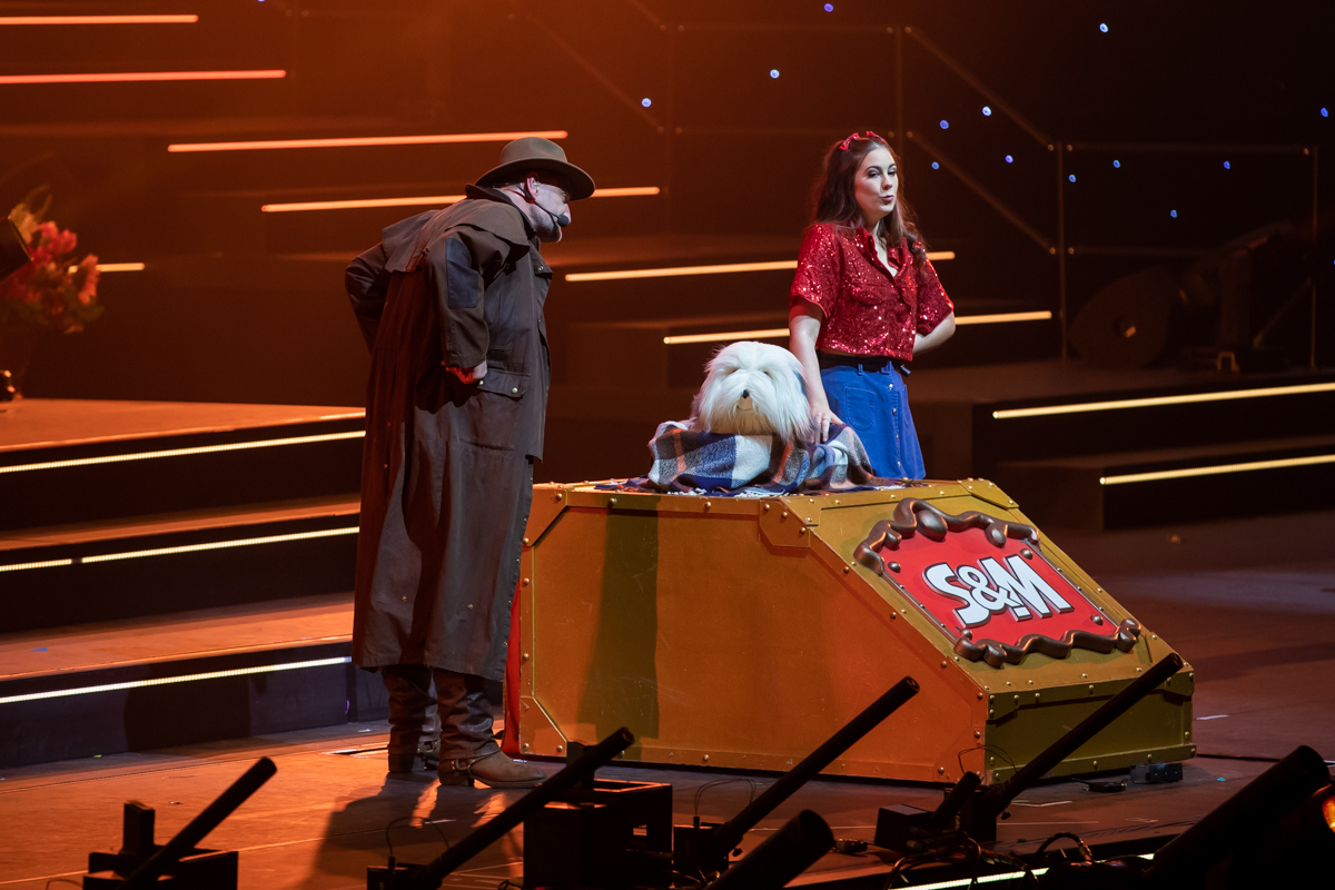 De Grote Sinterklaasshow 2022 @ Sportpaleis, foto 60, foto's door Goele Bormans - FrontView Magazine