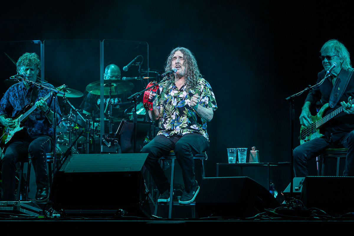 Weird Al Yankovic @ 013, picture 10, photographed by David Johnson - FrontView Magazine