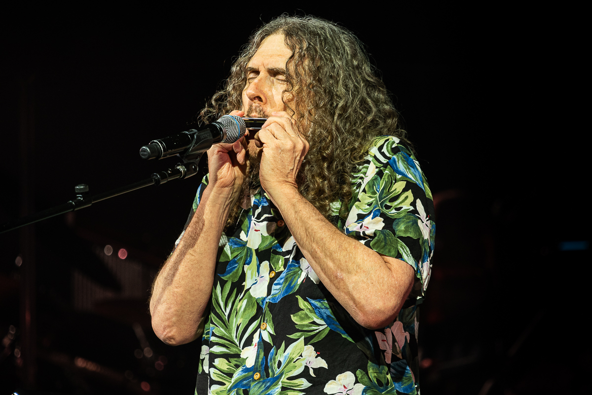 Weird Al Yankovic @ 013, picture 15, photographed by David Johnson - FrontView Magazine