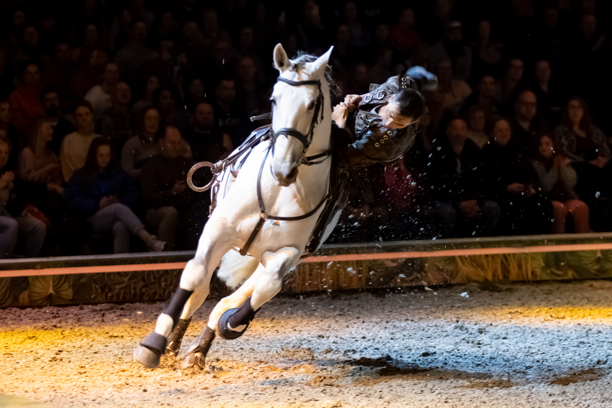 Cavalluna, Secret Of Eternity @ sportpaleis, foto 15, foto's door dirk janssens - FrontView Magazine