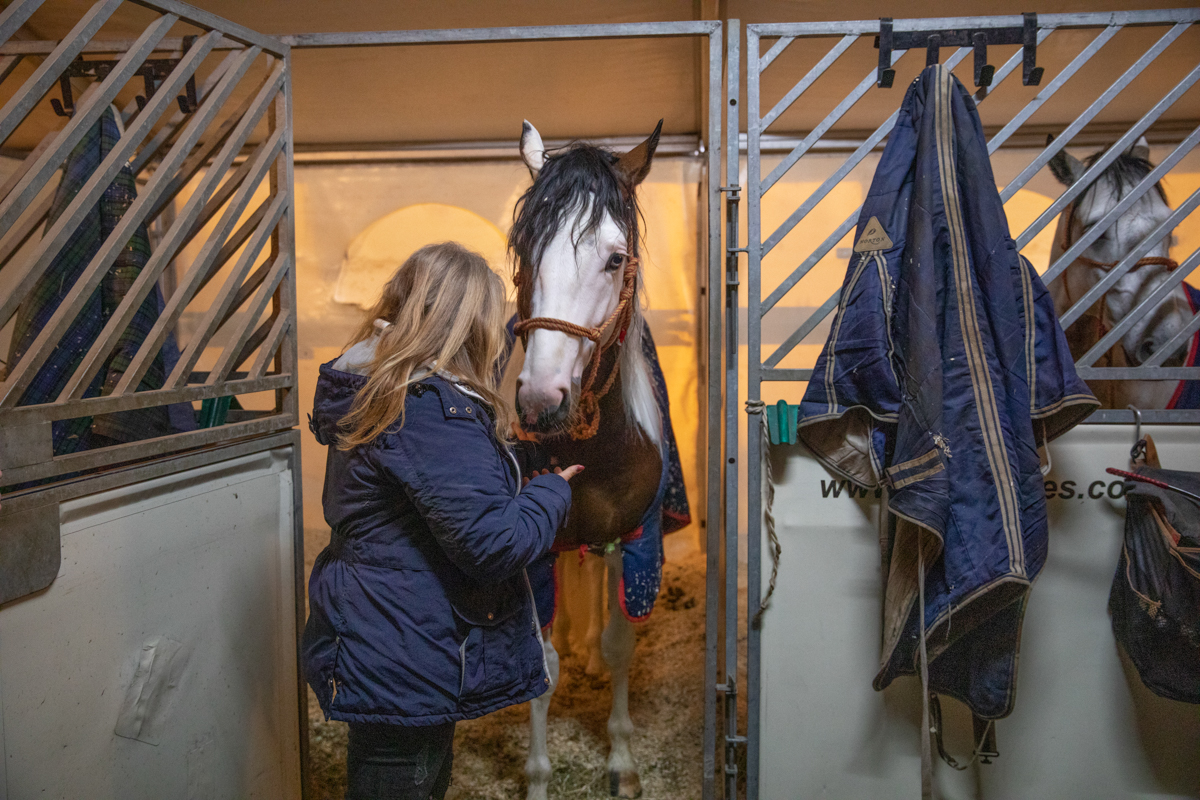 Cavalluna, Secret Of Eternity Stables Tour @ sportpaleis, foto 2, foto's door dirk janssens - FrontView Magazine