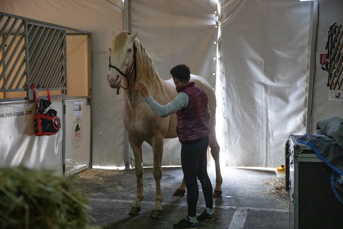 Cavalluna, Secret Of Eternity Stables Tour @ sportpaleis, foto 4, foto's door dirk janssens - FrontView Magazine