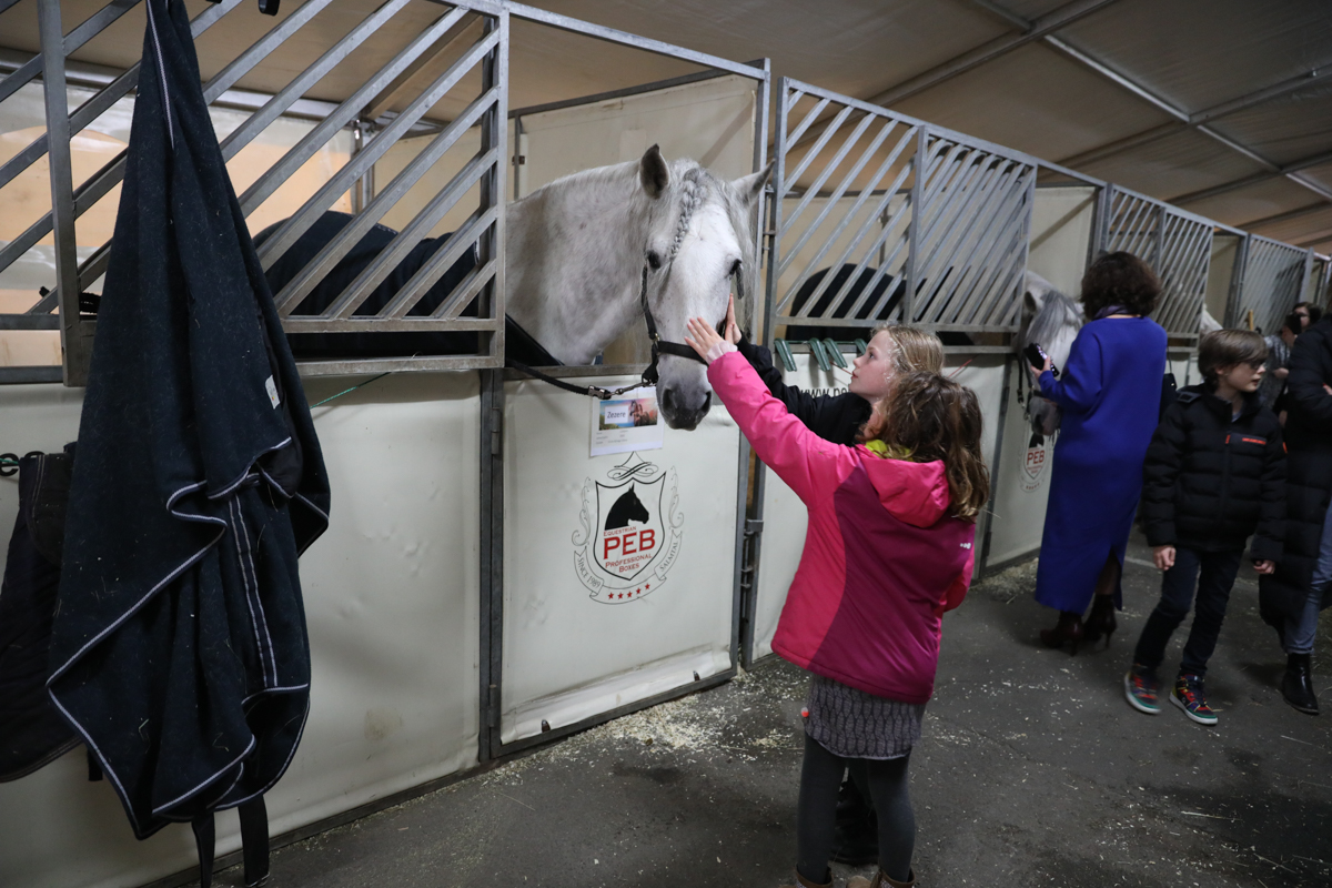 Cavalluna, Secret Of Eternity Stables Tour @ sportpaleis, foto 9, foto's door dirk janssens - FrontView Magazine