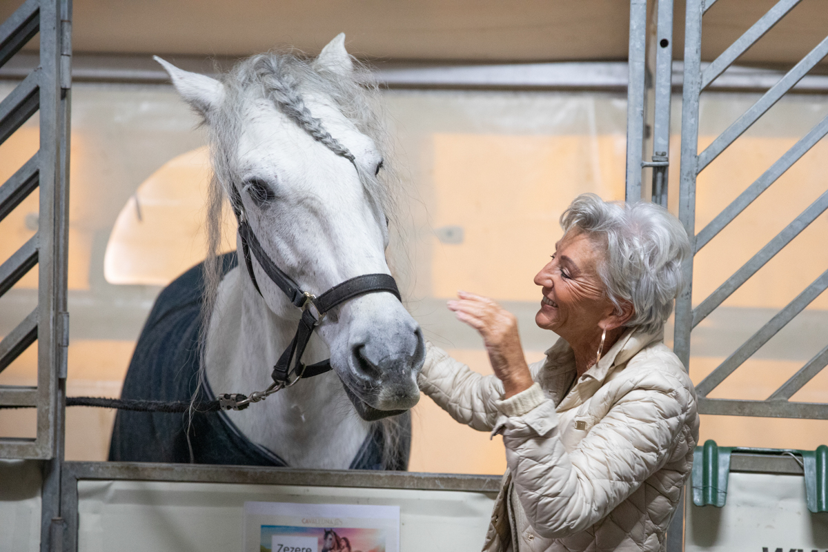 Cavalluna, Secret Of Eternity Stables Tour @ sportpaleis, foto 10, foto's door dirk janssens - FrontView Magazine