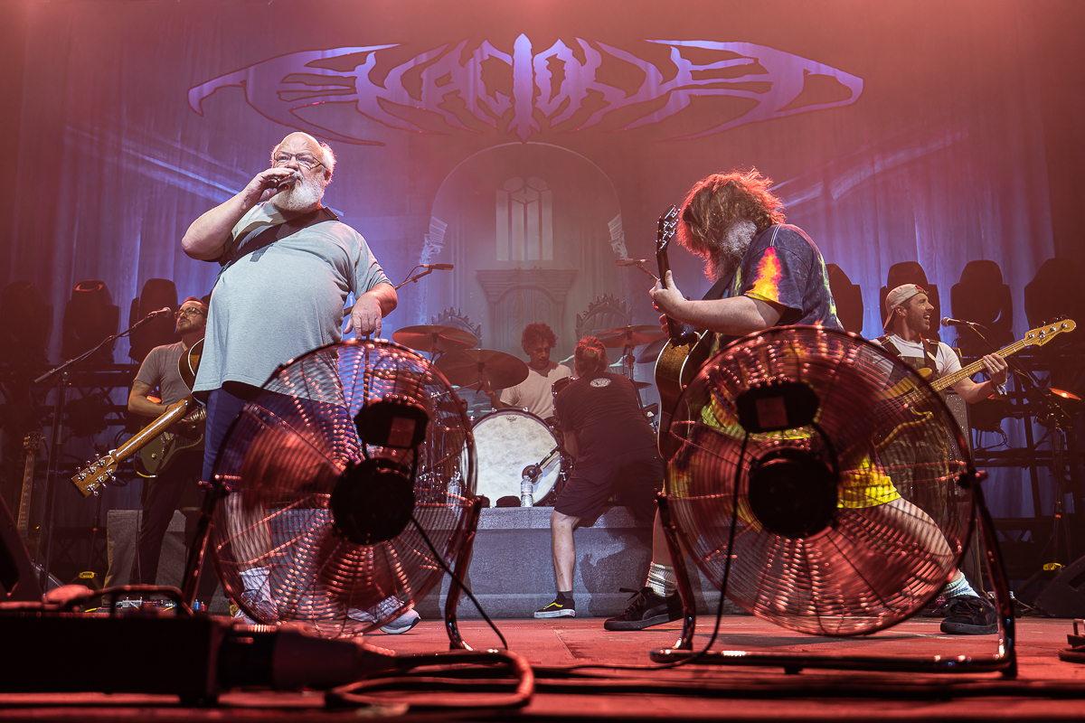 Tenacious D @ Vorst Nationaal, picture 2, photographed by David Johnson - FrontView Magazine