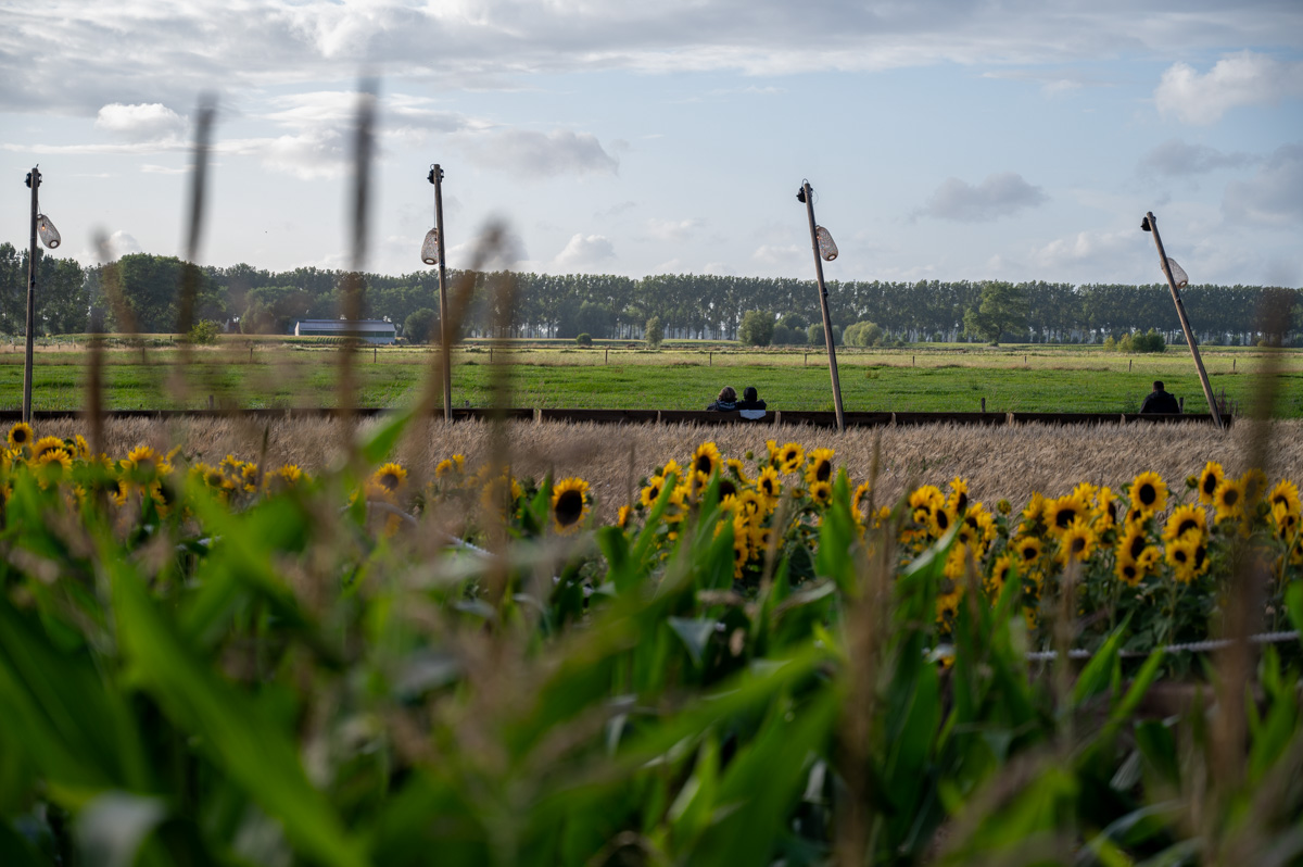 Campo Solar Sfeerbeelden, picture 15, photographed by Luc Klinckaert - FrontView Magazine