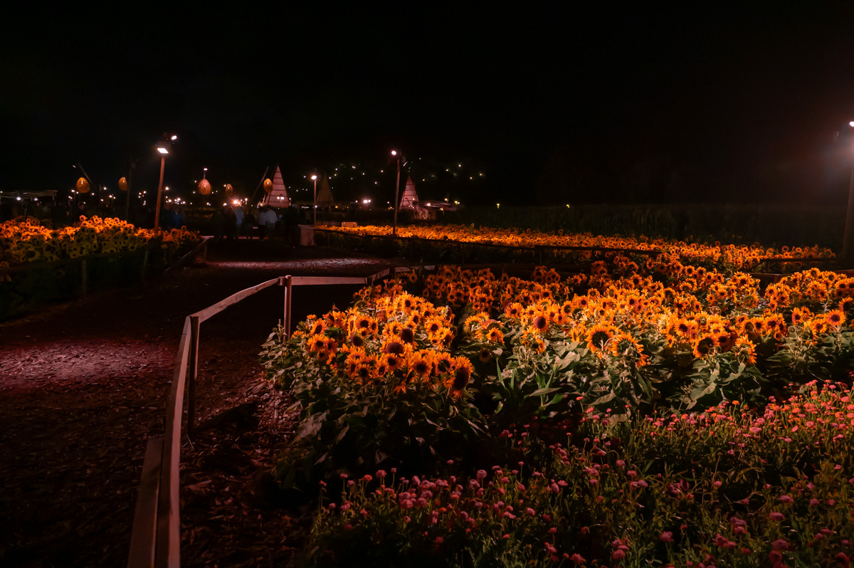 Campo Solar Sfeerbeelden, picture 30, photographed by Luc Klinckaert - FrontView Magazine