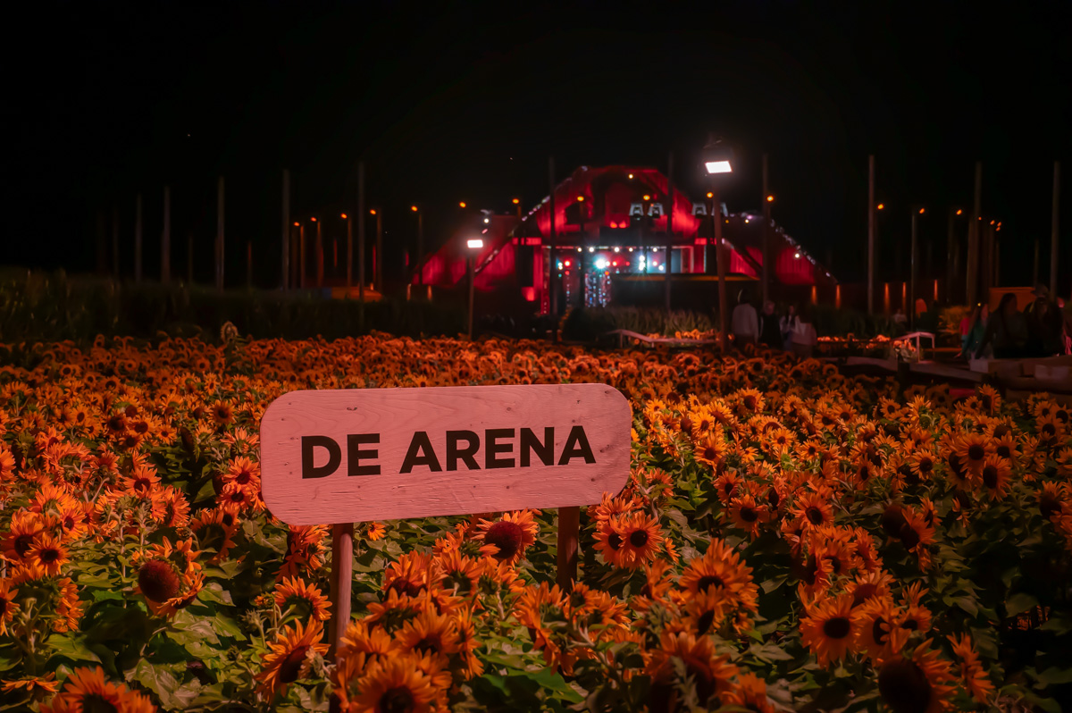 Campo Solar Sfeerbeelden, picture 31, photographed by Luc Klinckaert - FrontView Magazine