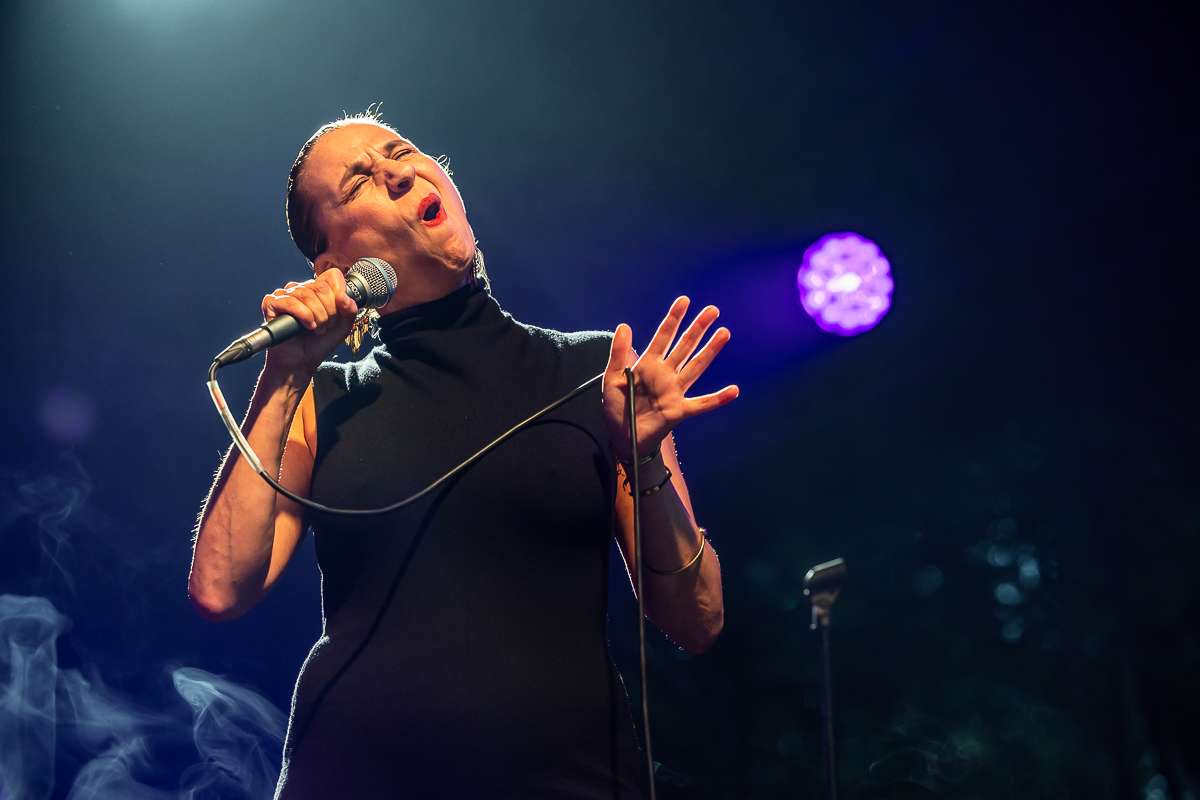 Floyd Matters @ OLT Rivierenhof, picture 17, photographed by Marc Verdonck - FrontView Magazine