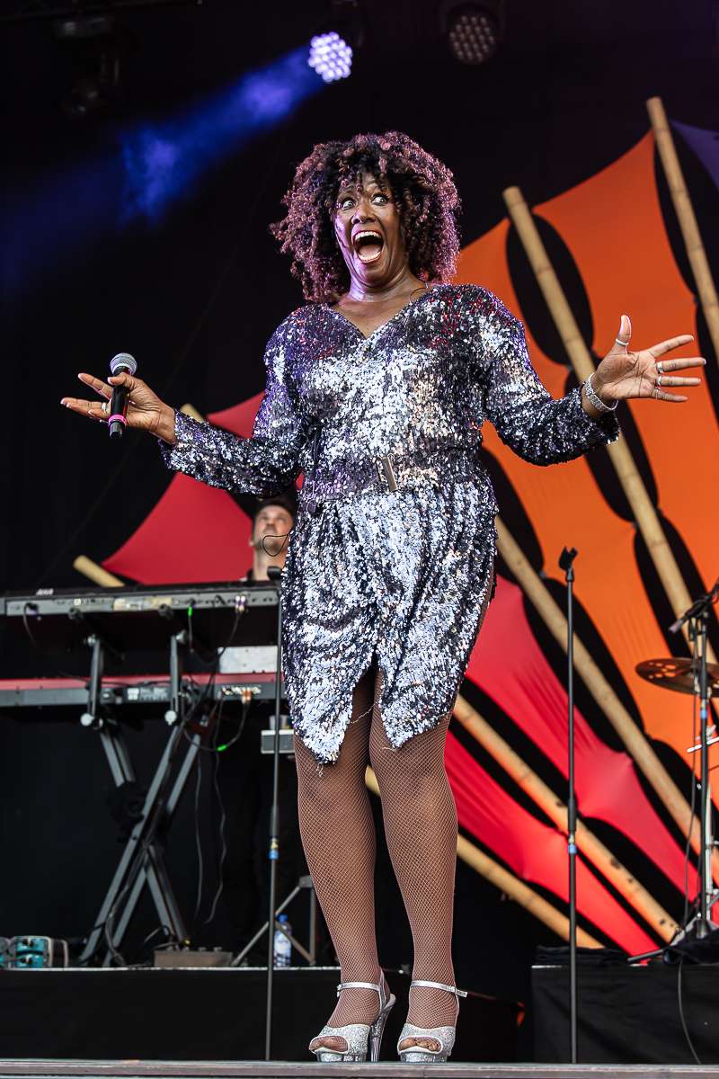 Motown Supremacy @ Bollekesfeest 2023, picture 25, photographed by Marc Verdonck - FrontView Magazine