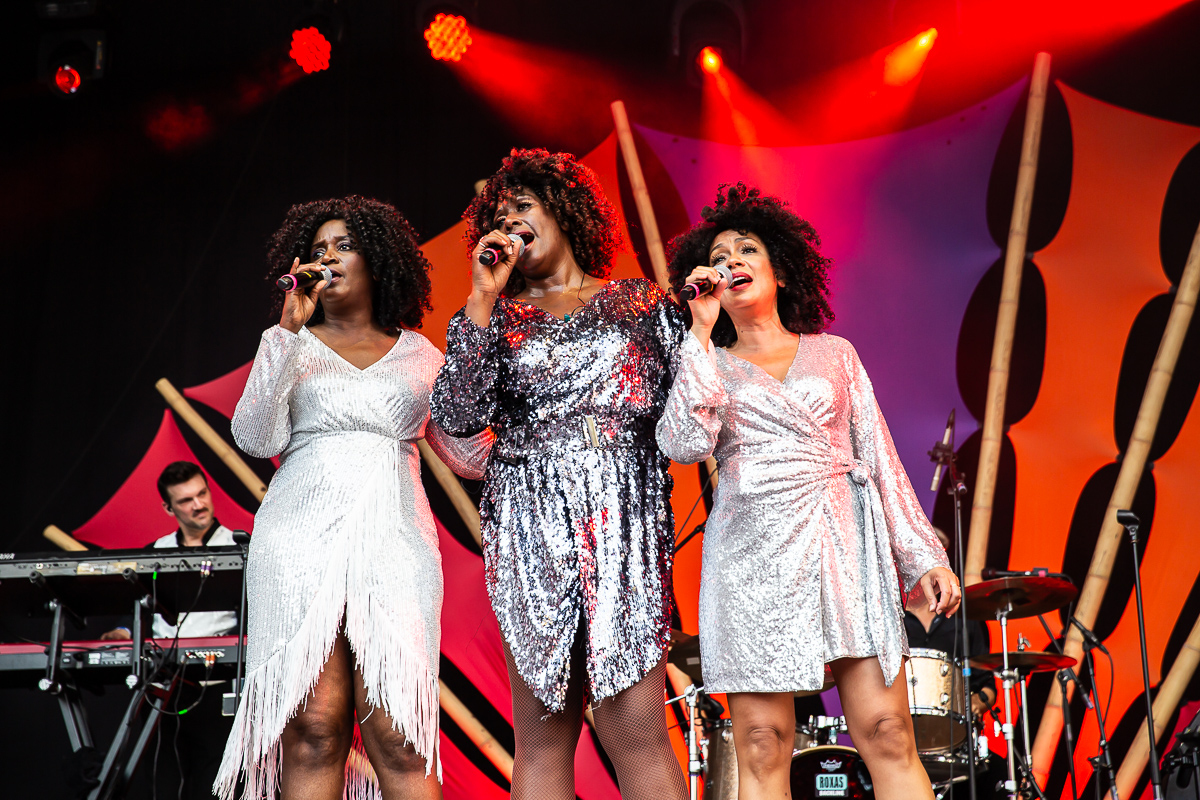 Motown Supremacy @ Bollekesfeest 2023, picture 27, photographed by Marc Verdonck - FrontView Magazine