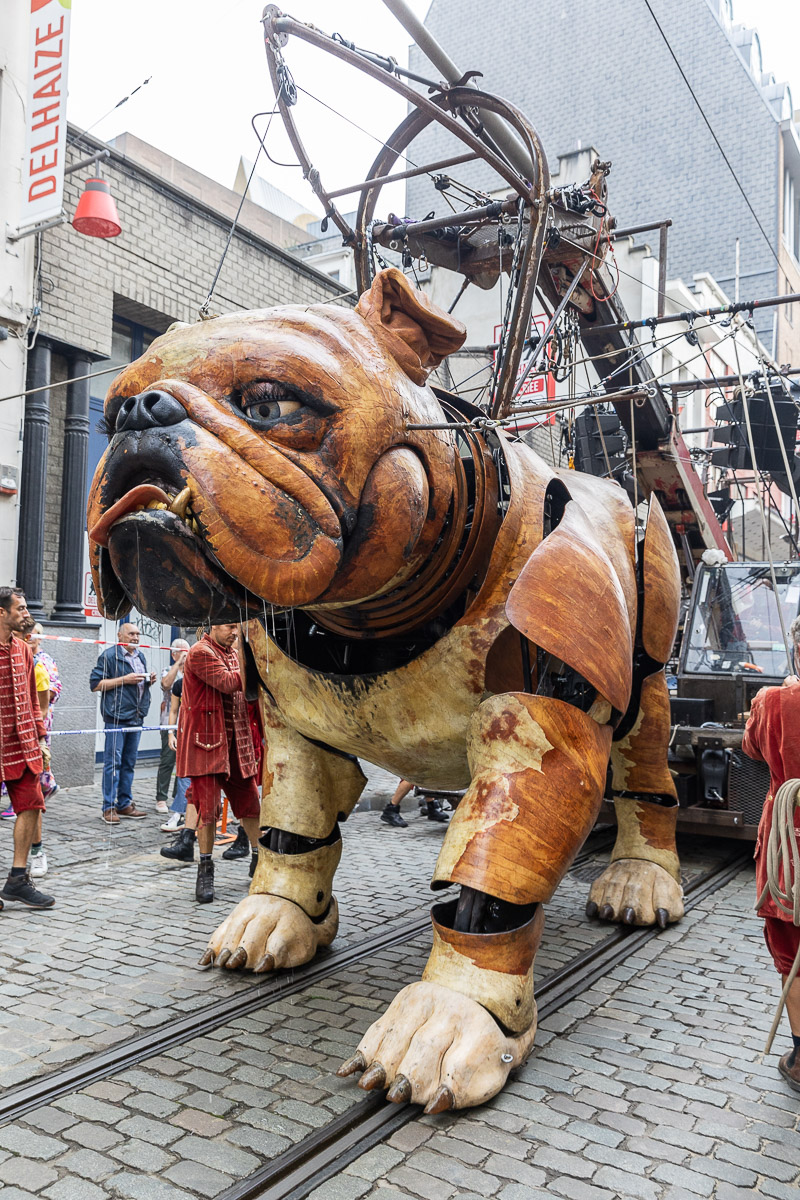De Reuzen van Royal de Luxe @ Antwerpen, picture 13, photographed by Marc Verdonck - FrontView Magazine