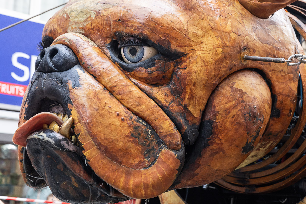 De Reuzen van Royal de Luxe @ Antwerpen, picture 14, photographed by Marc Verdonck - FrontView Magazine