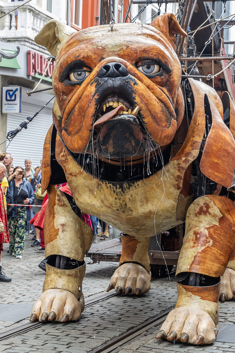De Reuzen van Royal de Luxe @ Antwerpen, picture 17, photographed by Marc Verdonck - FrontView Magazine