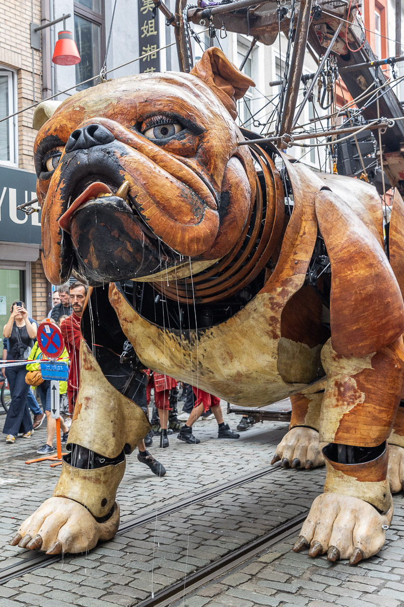 De Reuzen van Royal de Luxe @ Antwerpen, picture 18, photographed by Marc Verdonck - FrontView Magazine
