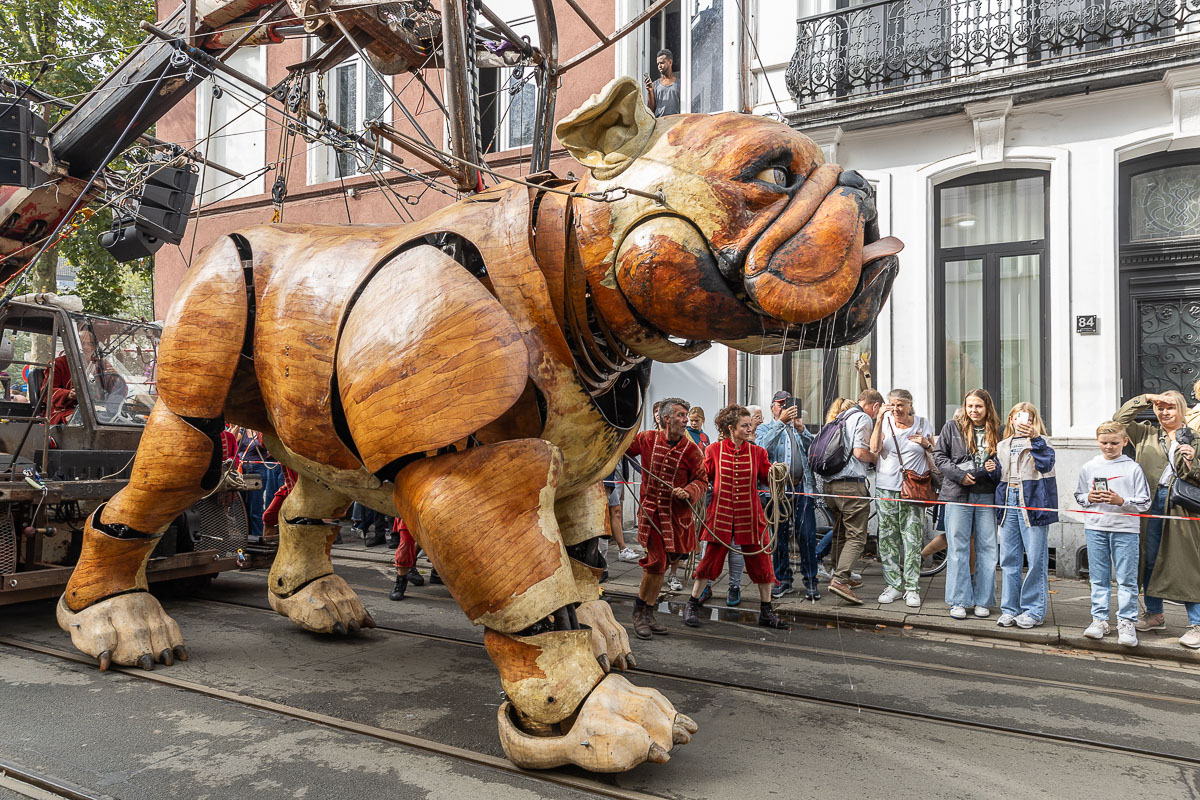 De Reuzen van Royal de Luxe @ Antwerpen, picture 20, photographed by Marc Verdonck - FrontView Magazine