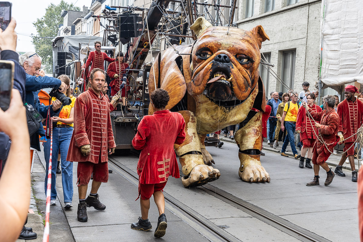 De Reuzen van Royal de Luxe @ Antwerpen, picture 22, photographed by Marc Verdonck - FrontView Magazine