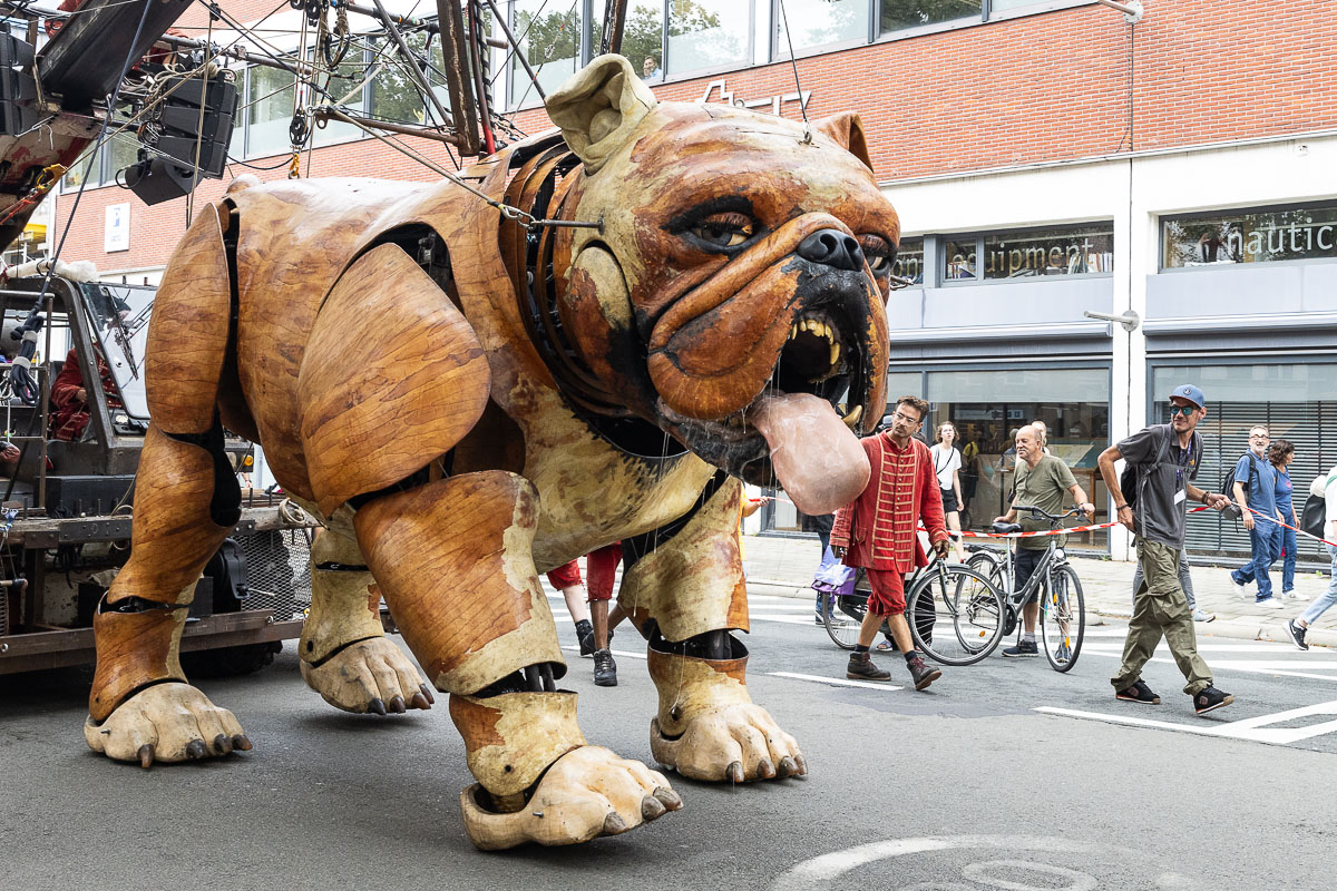 De Reuzen van Royal de Luxe @ Antwerpen, picture 65, photographed by Marc Verdonck - FrontView Magazine