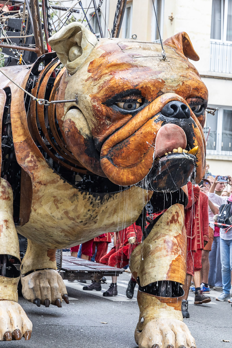 De Reuzen van Royal de Luxe @ Antwerpen, picture 81, photographed by Marc Verdonck - FrontView Magazine